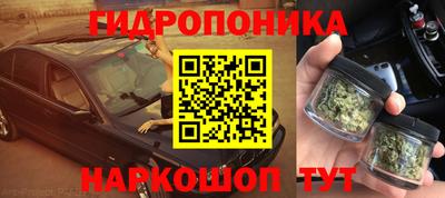 прущие грибы Малоярославец