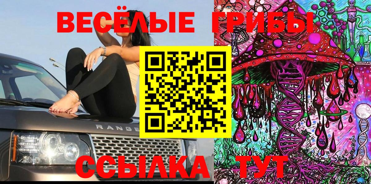 Галлюциногенные грибы Psilocybe  Галлюциногенные грибы Magic Shrooms  наркошоп  Вход с VPN  Грозный 