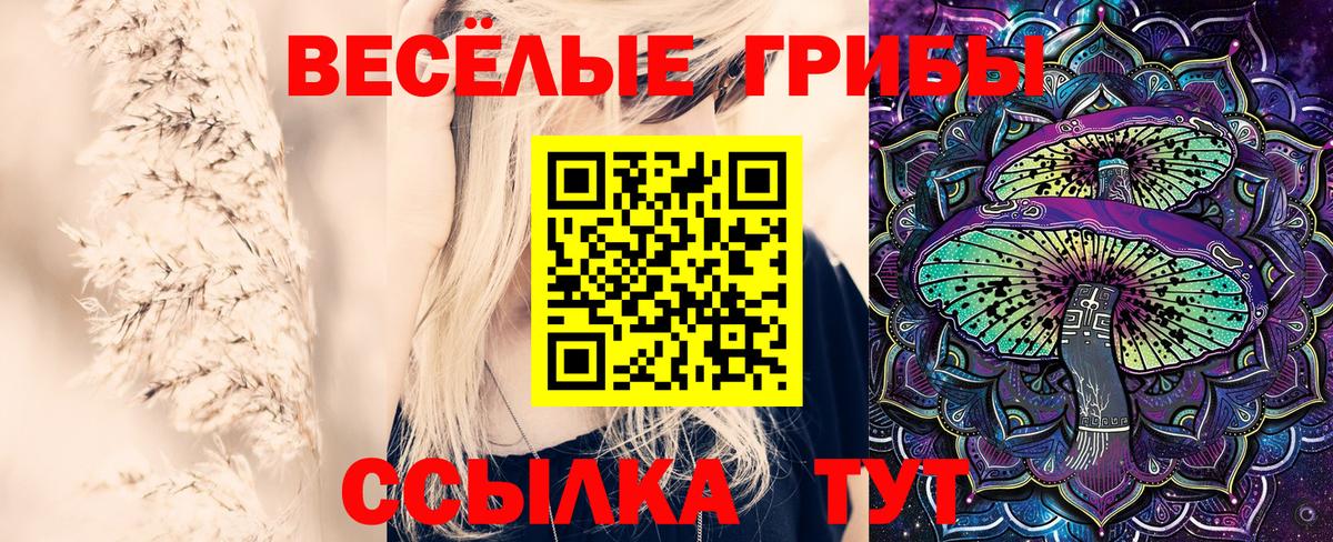 Галлюциногенные грибы ЛСД Грозный